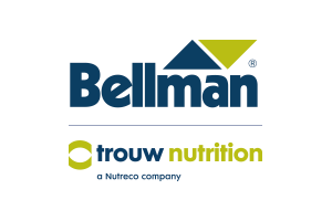 03 Bellman