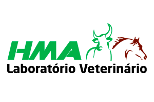 05 - HMA
