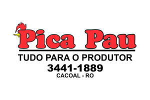 10 PICA PAU